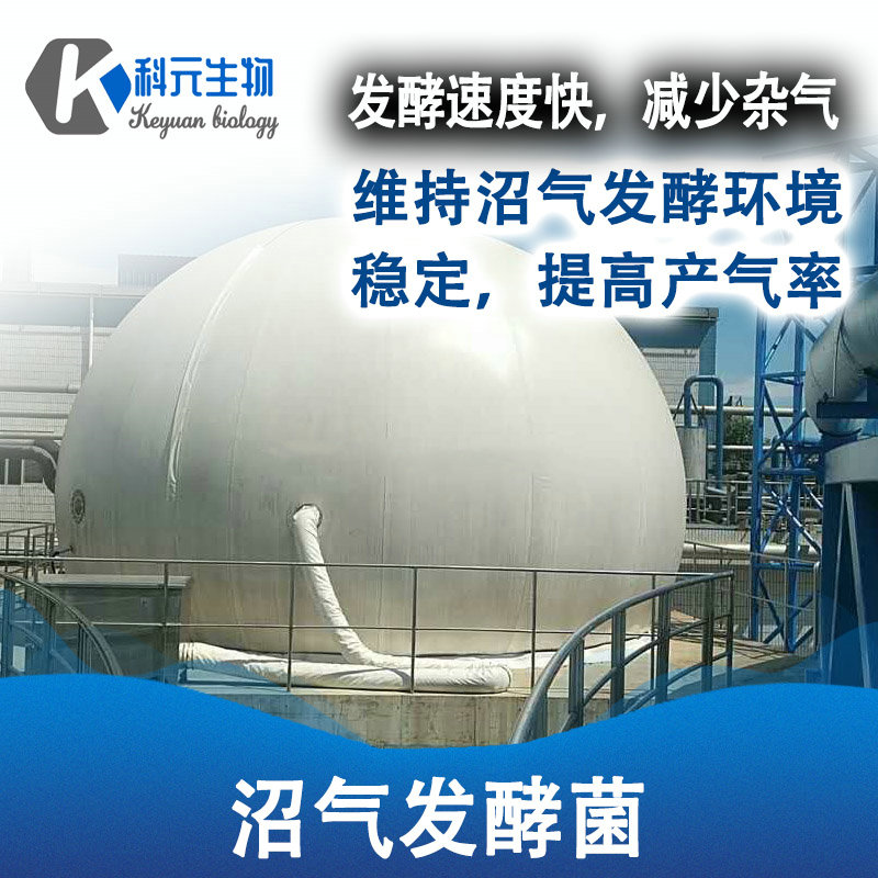 沼氣發酵菌-Biogas fermentation bacteria