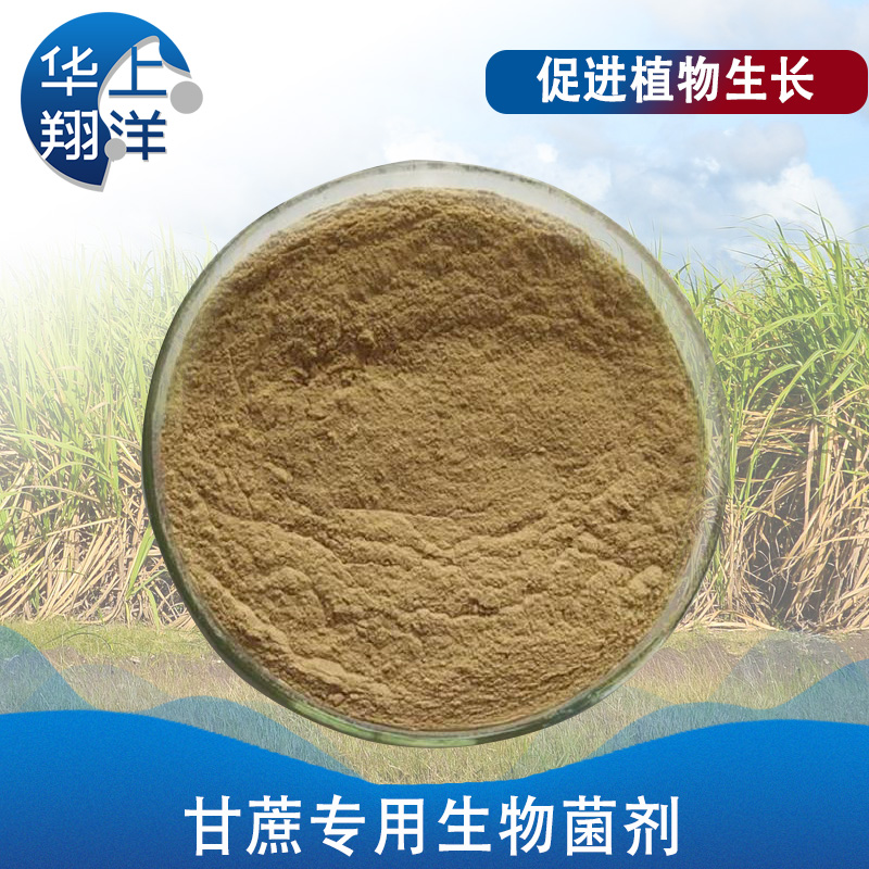 甘蔗專用生物菌劑-Special biological agent for sugar cane