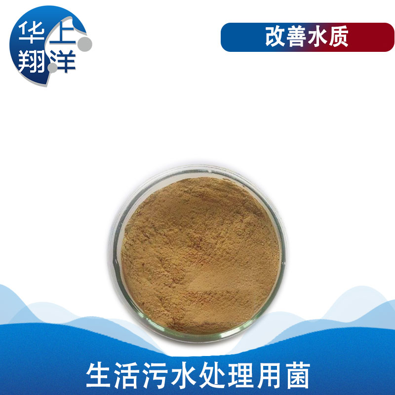 生活污水處理專用菌-Special bacteria for domestic sewage treatment