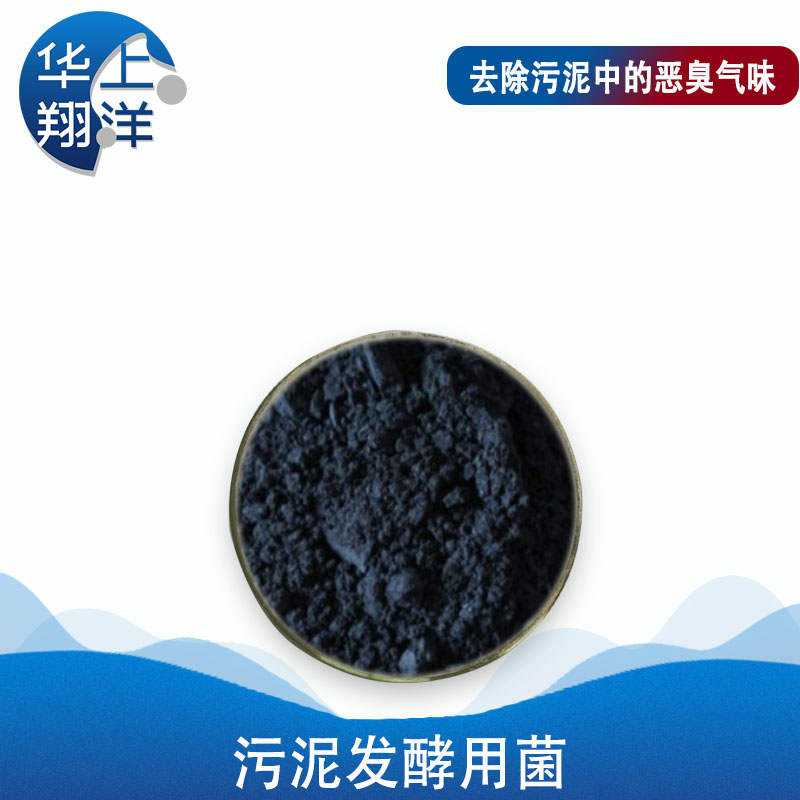 污泥發酵用菌-Special bacteria for sludge fermentation